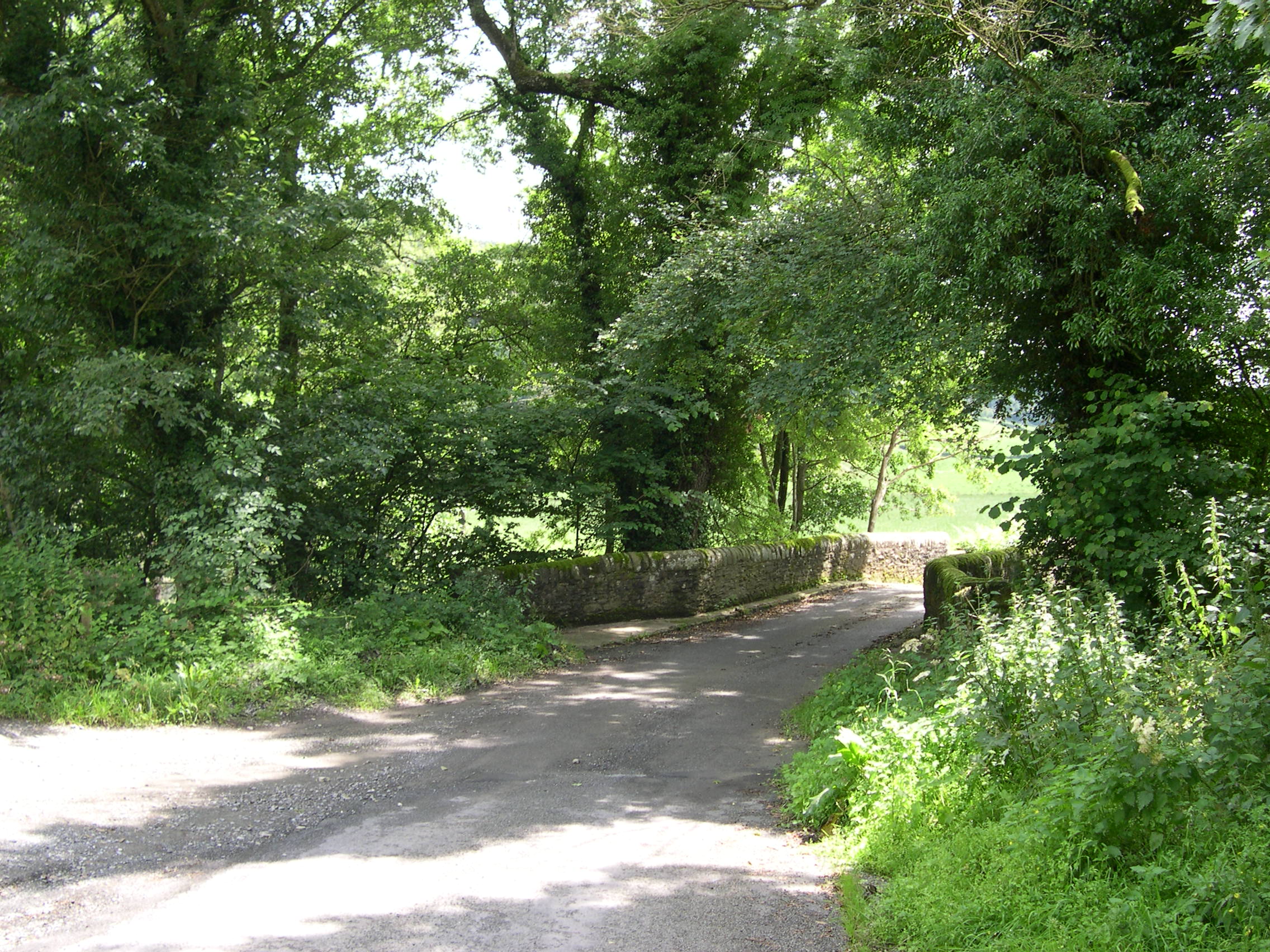 Old road bridge with trees each side